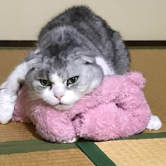 tomokoのプロフィール