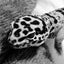 jiyunanoraのサムネイル