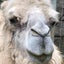 もぐのわーるのサムネイル
