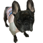 れちままのサムネイル
