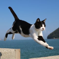 くまさんのプロフィール