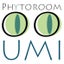 画像 ＜植物療法とデザインの部屋＞PHYTOROOMumiのユーザープロフィール画像
