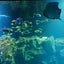 ももンがのサムネイル