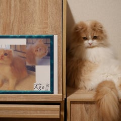 totototo20190526のプロフィール