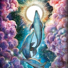 海野いるかのプロフィール