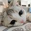 heta-nyankoのサムネイル