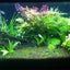 kuropann9696のサムネイル