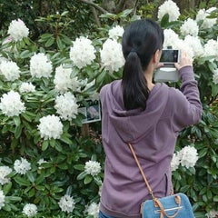 a-hana39のプロフィール