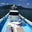 鹿児島 錦江湾の遊漁船 海晴丸のブログ