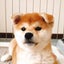 ねねちゃんのママのサムネイル