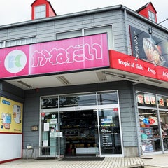 かねだい本町田店のプロフィール