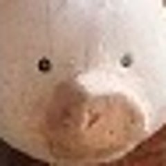 日帰り温泉とグルメのプロフィール