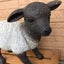 agnelet2525のサムネイル