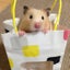 つぶ＊あんこのサムネイル
