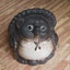 画像 婆狸のブログのユーザープロフィール画像