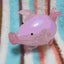 tonny_maruのサムネイル