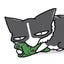 のえこのサムネイル