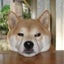 あかねぐものサムネイル