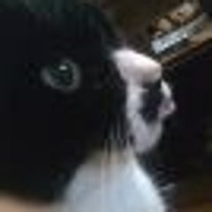 pass57のプロフィール