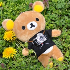 Rapi☆Rabiのプロフィール