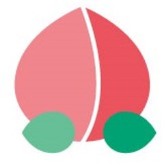 tsukasa-momoのプロフィール