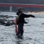 スイミーのサムネイル