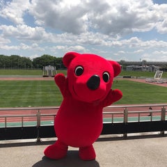 愛帝王のプロフィール