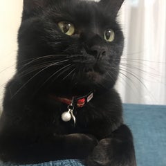 なこねのプロフィール