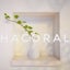 hacoralのサムネイル