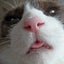 エージェントCATのサムネイル