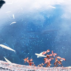 青嵐の霹靂 青嵐の霹靂