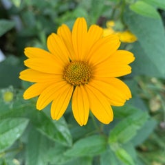 高次脳機能障害 Momブログ 笑っていこうー It Will Be A Beautiful Day Tomorrow 高次脳機能障害 Momブログ 笑っていこうー It Will Be A Beautiful Day Tomorrow