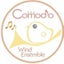 画像 宮崎県県北地域ママブラス【comodo Wind Ensemble】のユーザープロフィール画像