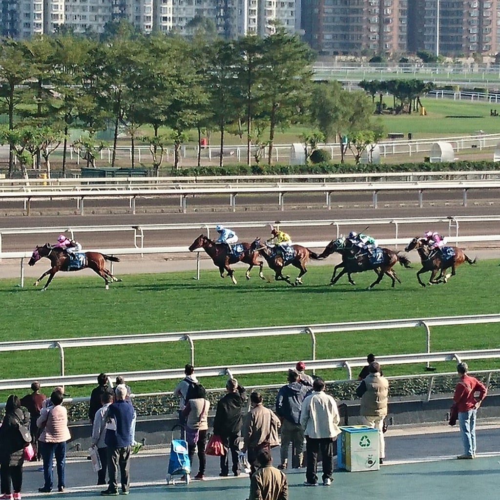 心は熱く頭は冷静に 人生をまだまだ楽しむ