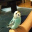 mizuiroこぶたのサムネイル