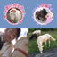 画像 白馬と暮らすスピリチュアルカウンセラー晴美のユーザープロフィール画像