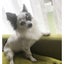 maki.Sのサムネイル