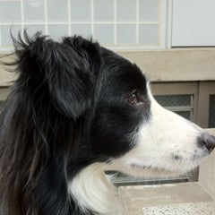 oriのプロフィール