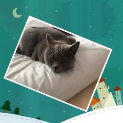 nyankonagakuteのプロフィール