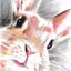ことこぶたのサムネイル