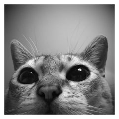 フミのプロフィール