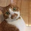 ゆうのサムネイル
