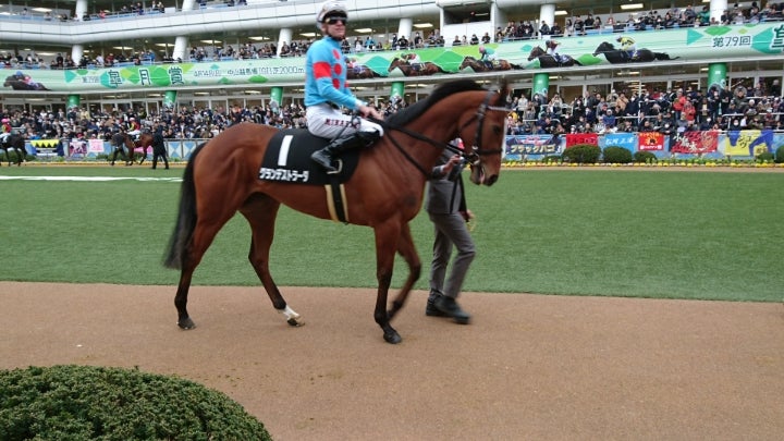 アゼリ18近況 だんけんの一口馬主