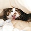 なぎのサムネイル