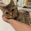 amiruka03のサムネイル
