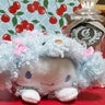 メグのプロフィール