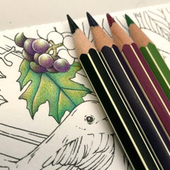 Faber Castell Colour Pencil 赤缶 油性色鉛筆 塗り絵と色鉛筆