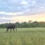 イマイマのサムネイル