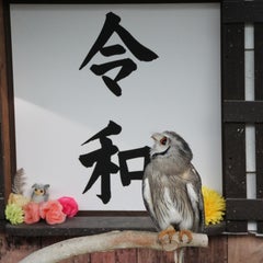 アカシア（ブライト）のプロフィール