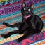画像 製作する黒猫のブログのユーザープロフィール画像